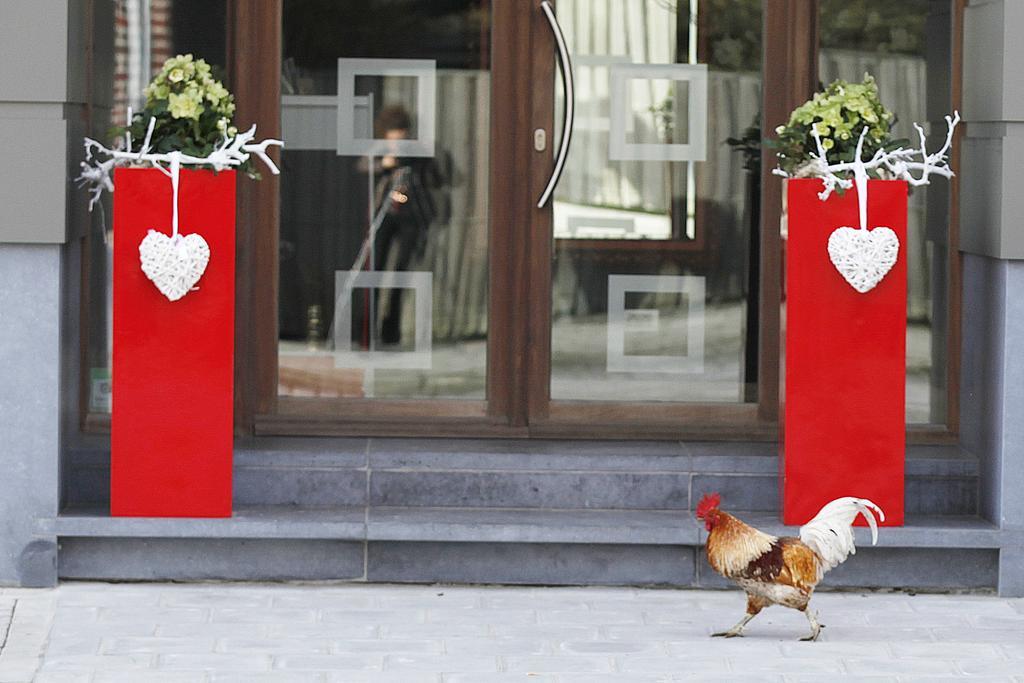 B&B Rouge E Blanc Meulebeke Kültér fotó